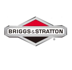 BRIGGS & STRATTON:  22" Snow Blower | Electric Start | Single Stage | "SnowShredder" | 9.5 TP **FREE LOCAL DELIVERY**