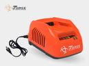 ECHO 56V 2Ah Basic Charger LC-56V2AAB